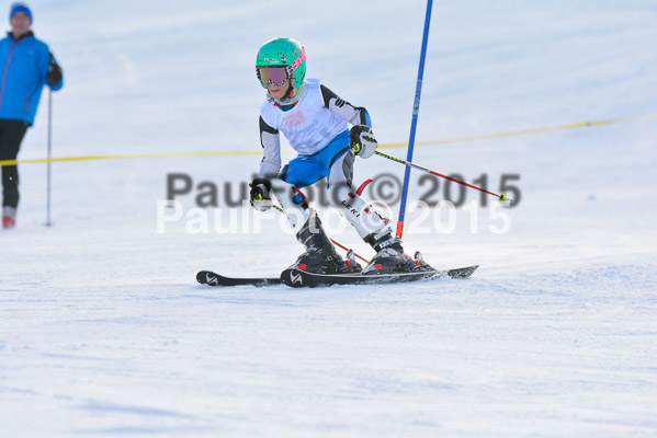  1. BZB Cup