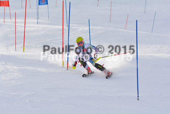  1. BZB Cup