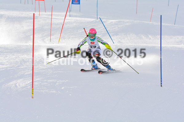  1. BZB Cup