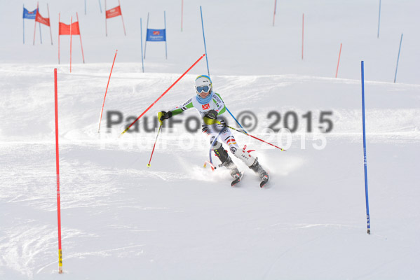  1. BZB Cup