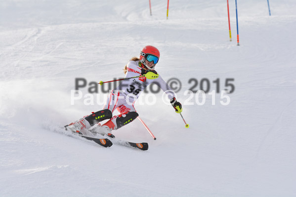  1. BZB Cup