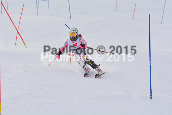  1. BZB Cup