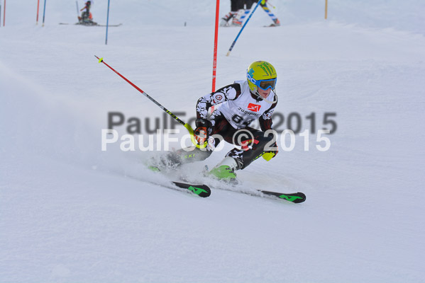  1. BZB Cup