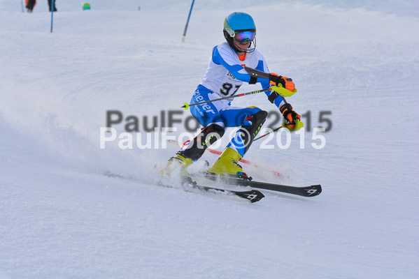  1. BZB Cup