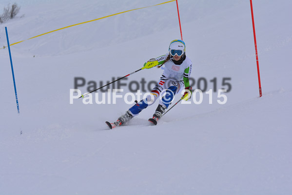  1. BZB Cup