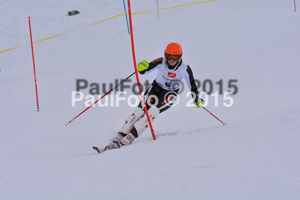  1. BZB Cup