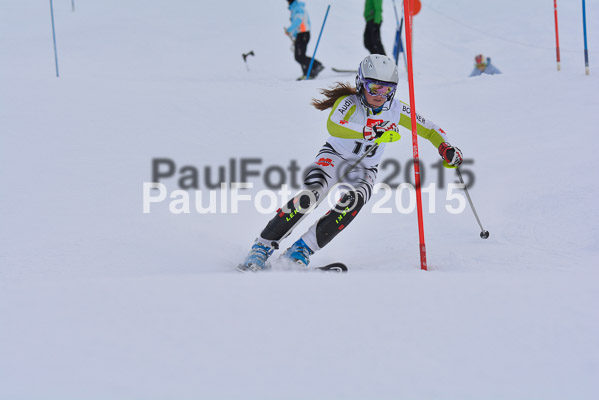  1. BZB Cup