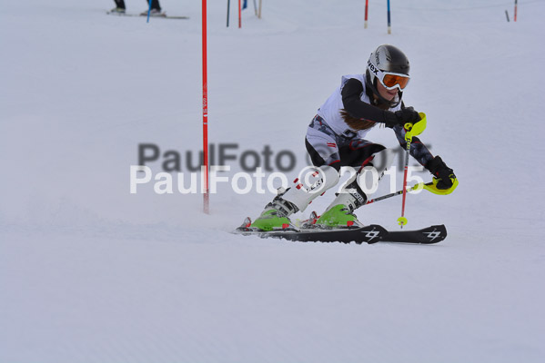  1. BZB Cup