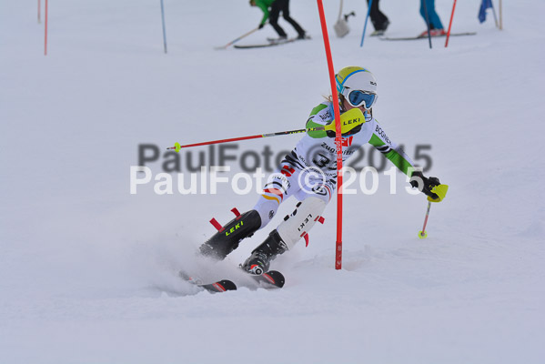  1. BZB Cup