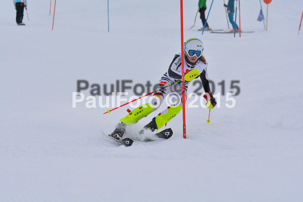 1. BZB Cup