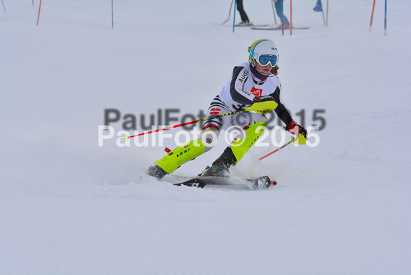  1. BZB Cup