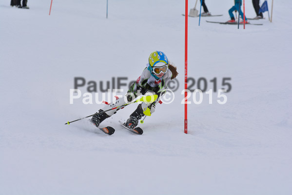  1. BZB Cup