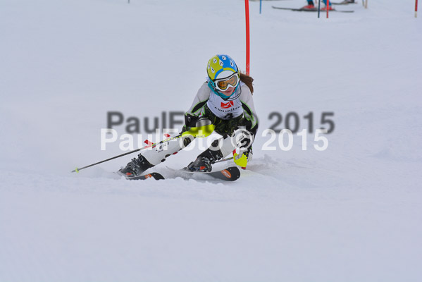  1. BZB Cup