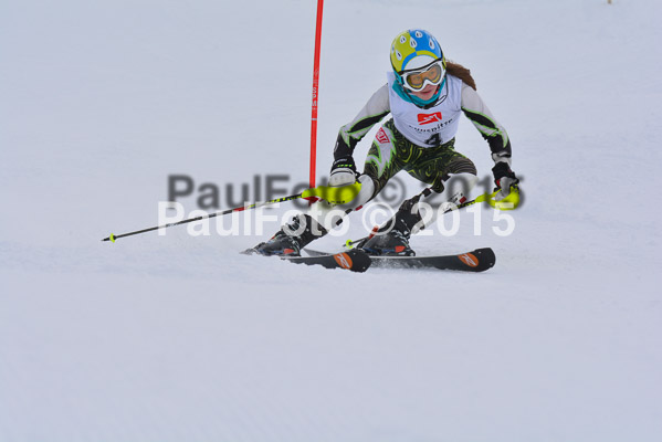  1. BZB Cup