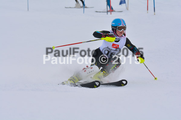  1. BZB Cup