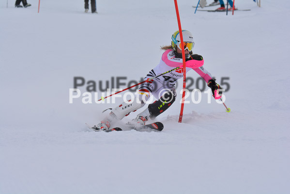  1. BZB Cup