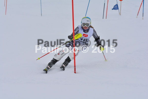  1. BZB Cup
