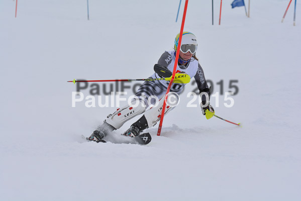  1. BZB Cup