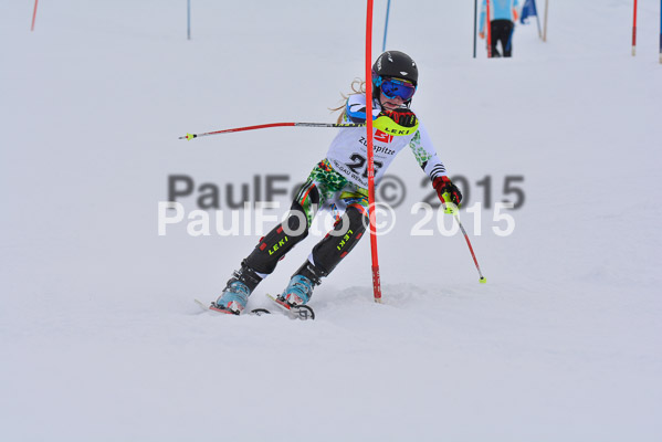  1. BZB Cup