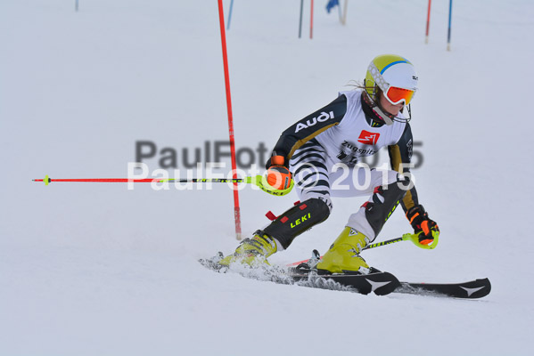  1. BZB Cup