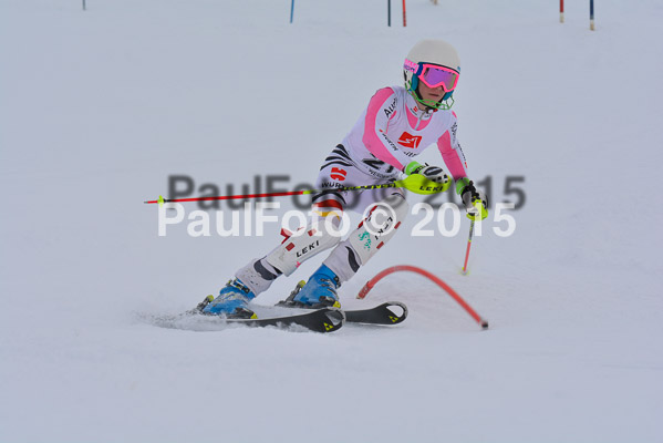  1. BZB Cup