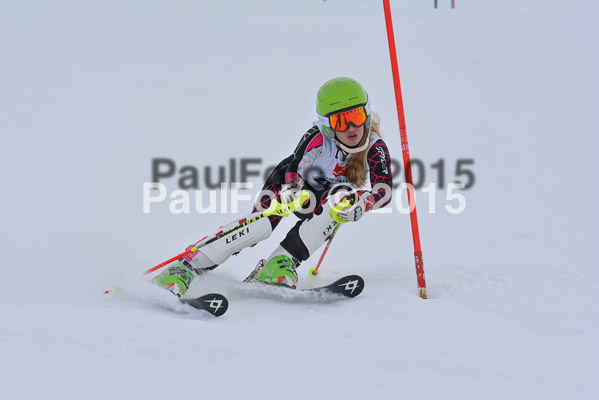  1. BZB Cup