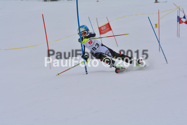  1. BZB Cup