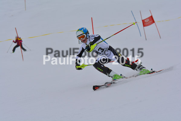  1. BZB Cup