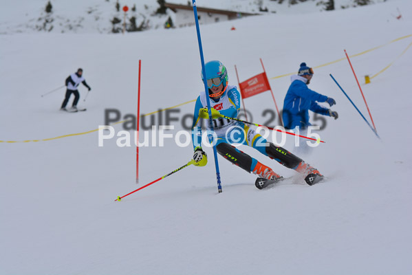  1. BZB Cup