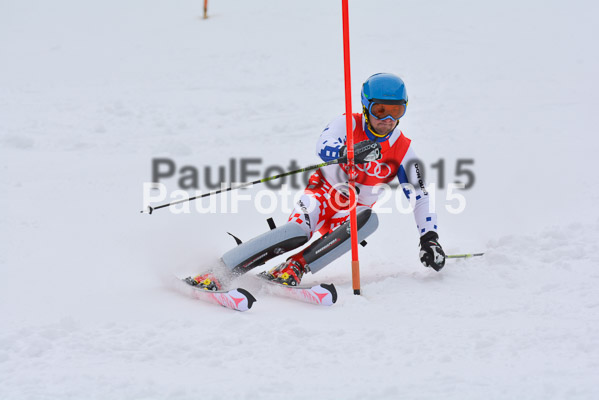 CIT FIS Slalom Herren