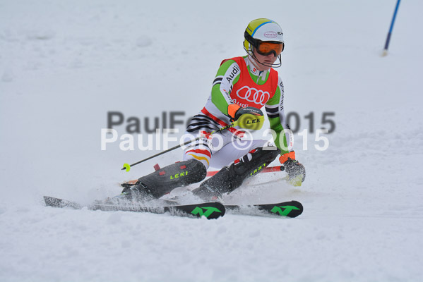 CIT FIS Slalom Herren