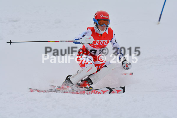 CIT FIS Slalom Herren