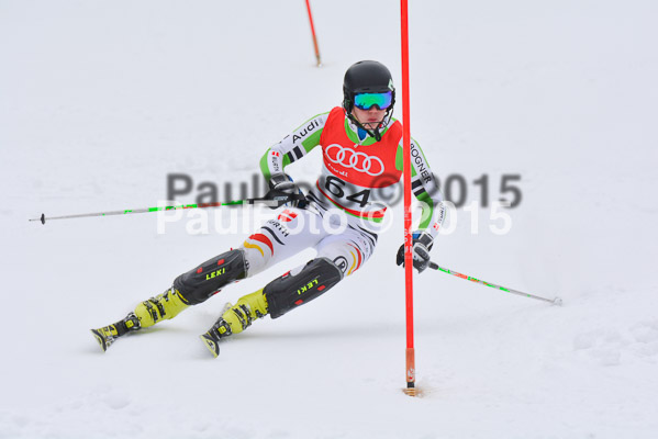 CIT FIS Slalom Herren