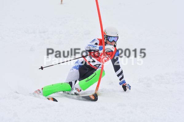 CIT FIS Slalom Herren