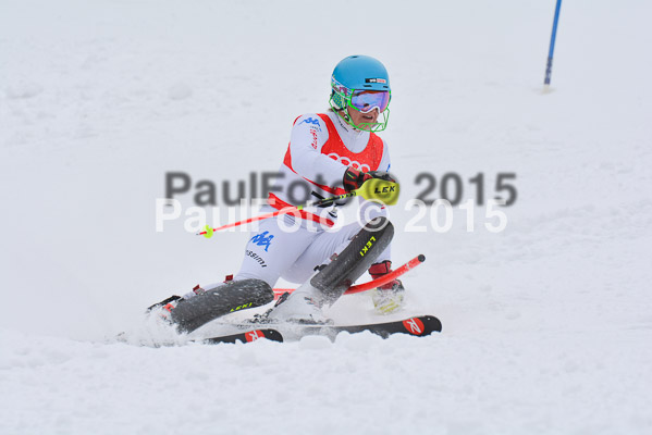 CIT FIS Slalom Herren