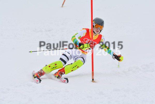 CIT FIS Slalom Herren