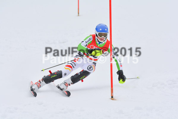 CIT FIS Slalom Herren