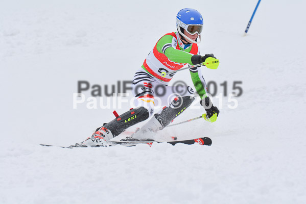 CIT FIS Slalom Herren
