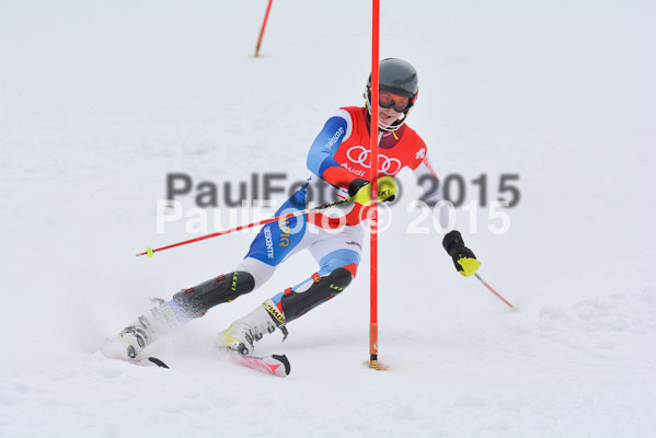 CIT FIS Slalom Herren