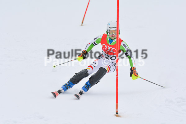 CIT FIS Slalom Herren