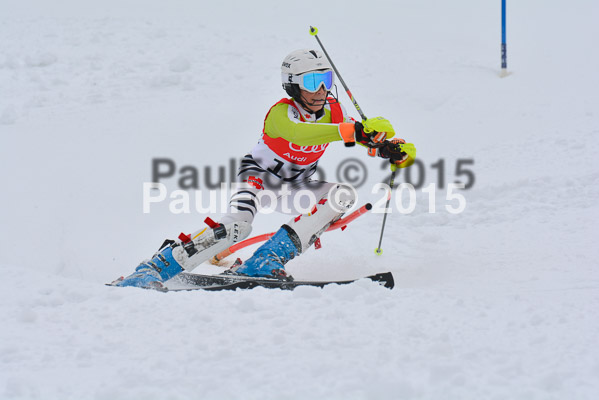 CIT FIS Slalom Herren
