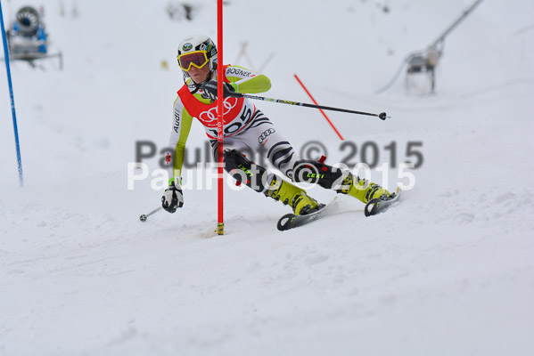 CIT FIS Slalom Herren