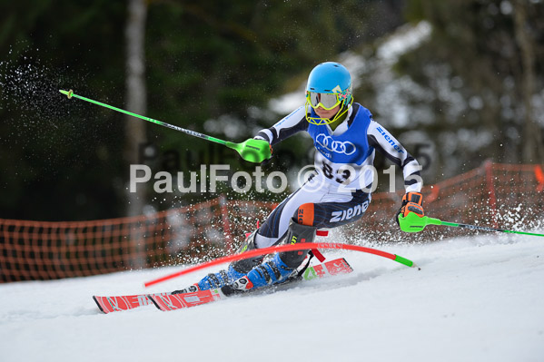 Bay. Schülermeisterschaft SL 2015