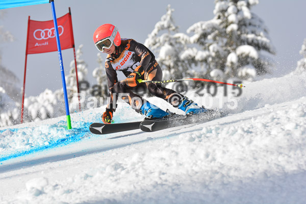 2. Ziener U12 Kids Cross 2015