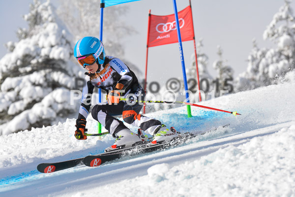2. Ziener U12 Kids Cross 2015