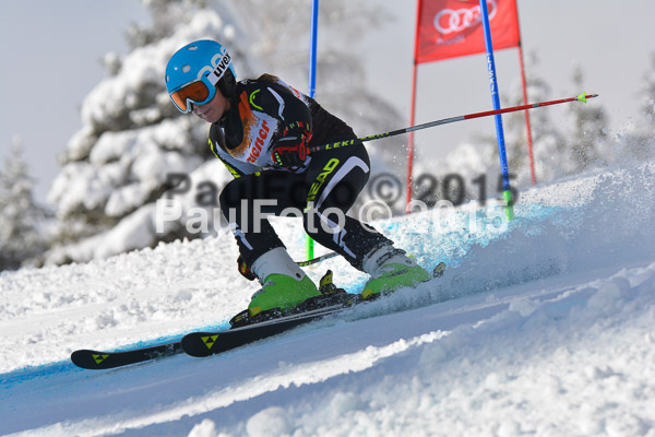 2. Ziener U12 Kids Cross 2015