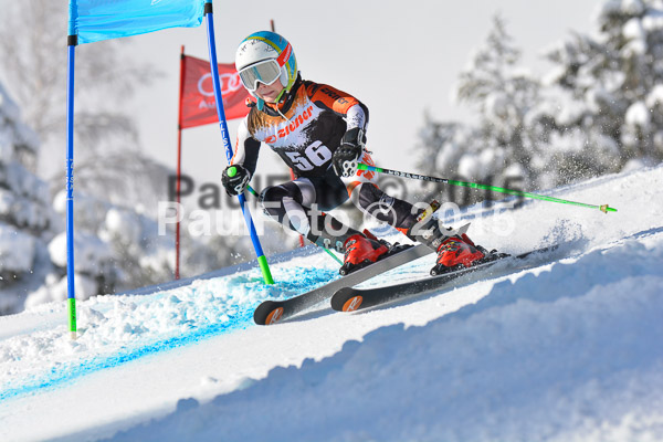2. Ziener U12 Kids Cross 2015