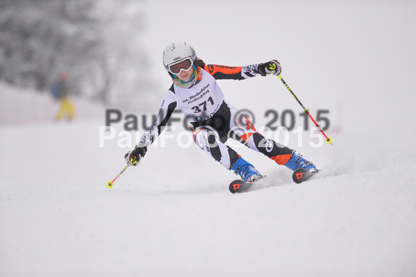 Int. Werdenfelser Kinderskitag + BZB Cup 2015