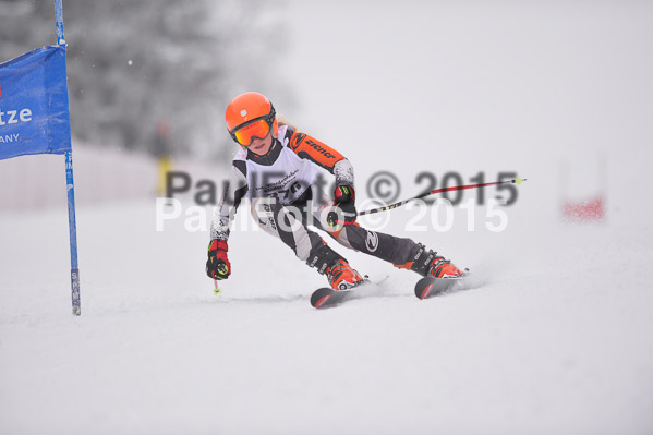 Int. Werdenfelser Kinderskitag + BZB Cup 2015