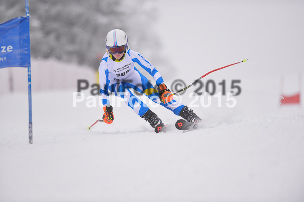 Int. Werdenfelser Kinderskitag + BZB Cup 2015